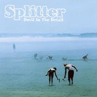 Splitter Devil In The Detail