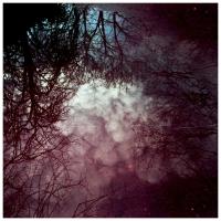 Stray Theories Awaken