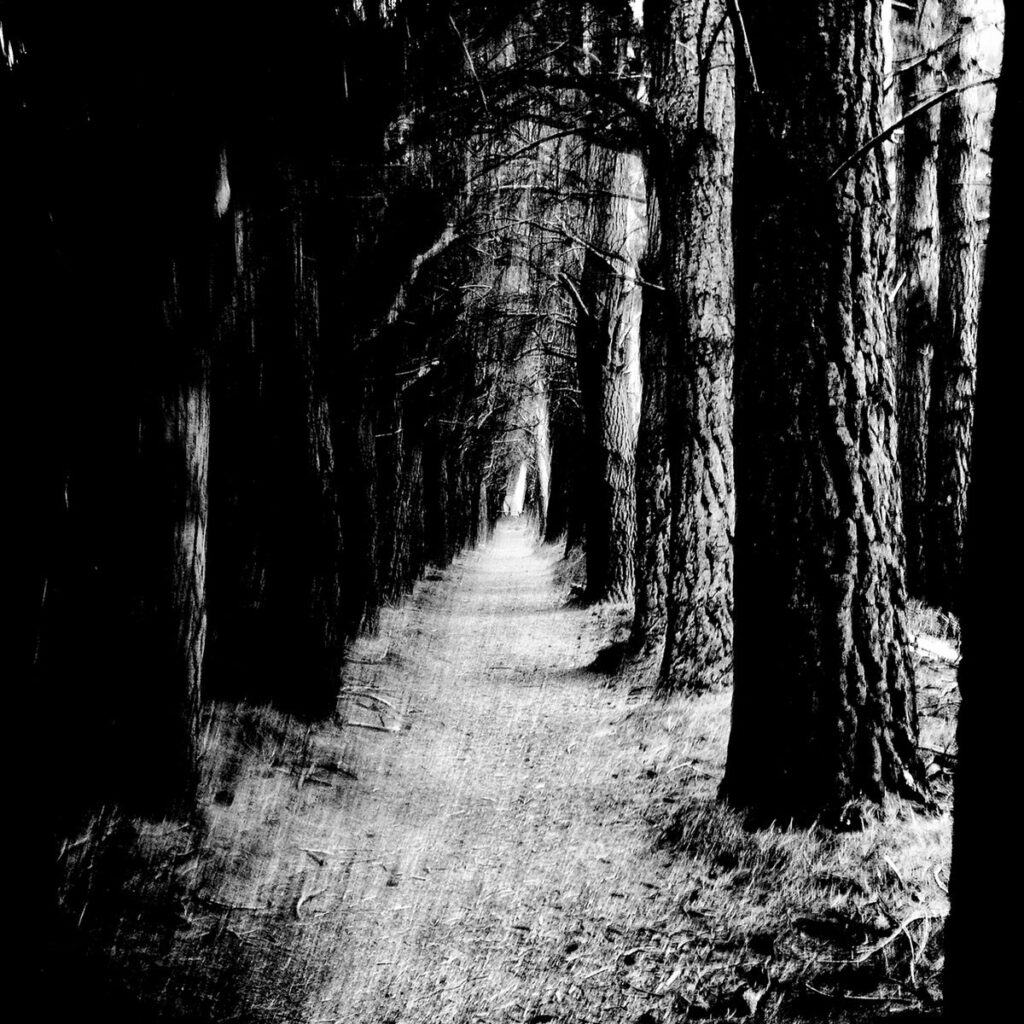 Straytheoriescover