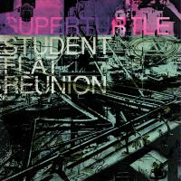 Superturtle Student Flat Reunion