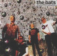 The Bats 1000's Of Tiny Luminous Spheres