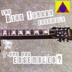 The Bing Turkby Ensemble Are You Ensembled?