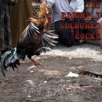 The Brightly Coloured Cocks Fast & Loose