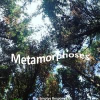 The Emptys Response Metamorphoses