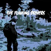 The Flaming Drivers Damage In My Brain...