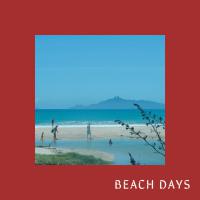 The Man Shamz Beach Days
