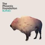 The Phoenix Foundation Buffalo