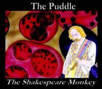 The Puddle The Shakespeare Monkey