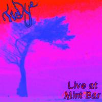 Tiedye Live At Mint Bar
