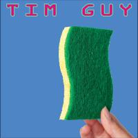 Tim Guy Dish Sponge