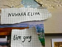 Tim Guy Nuwara Eliya