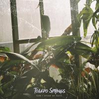 Toledo Springs How I Spend My Days