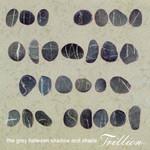 Trillion The Grey Between Shadow And Shade