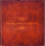 Tropical Downbeat Orchestra Tropical Downbeat Orchestra: Live At Century Theatre