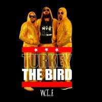 Turkey The Bird When Turkeys Fly