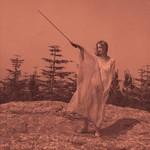 Unknown Mortal Orchestra Ii