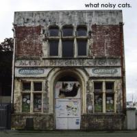 What Noisy Cats What Noisy Cats