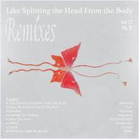 Womb Like Splitting The Head From The Body: Remixes