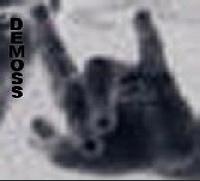Wrath Demoss