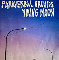 Young Moon Paraverbal Orchids