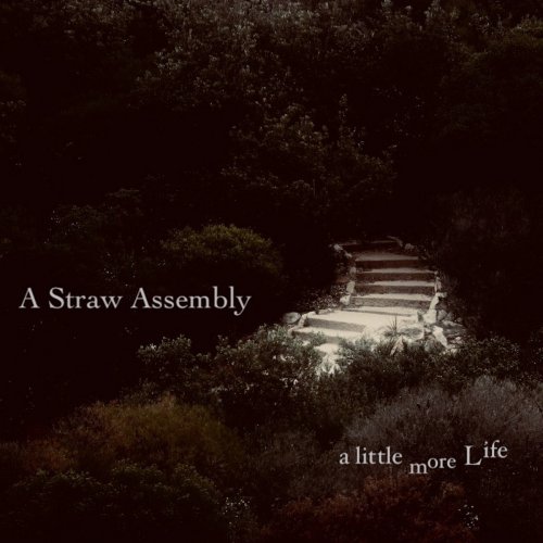 Album Review: A Little More Life 1