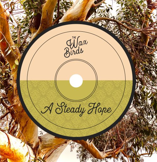 Album Review: A Steady Hope 1
