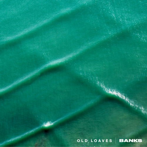 Album Review: Banks 1