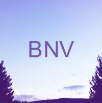 Album Review: Bnv 1