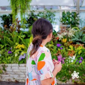 Album Review: Colours 1