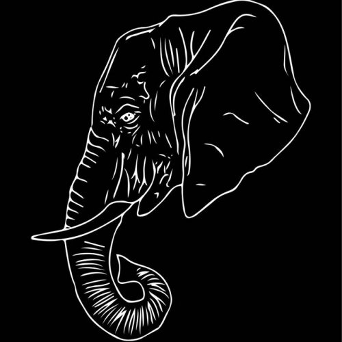Album Review: Elephant Room 1