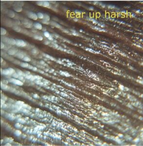 Album Review: Fear Up Harsh (ii) 1