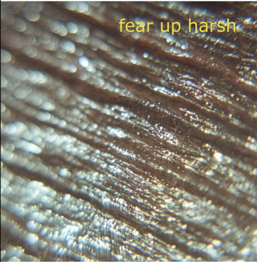 Album Review: Fear Up Harsh (ii) 1