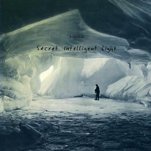 Album Review: Secret Intelligent Light 1