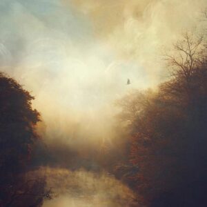 Album Review: This Light 1