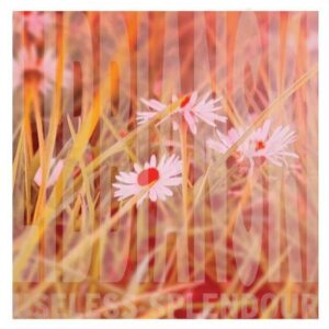 Album Review: Useless Splendour 1