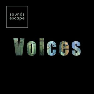 Album Review: Voices 1