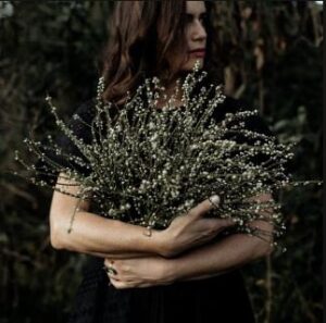 Album Review: Where Wildflowers Grow 1