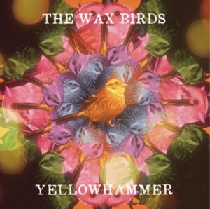 Album Review: Yellowhammer 1
