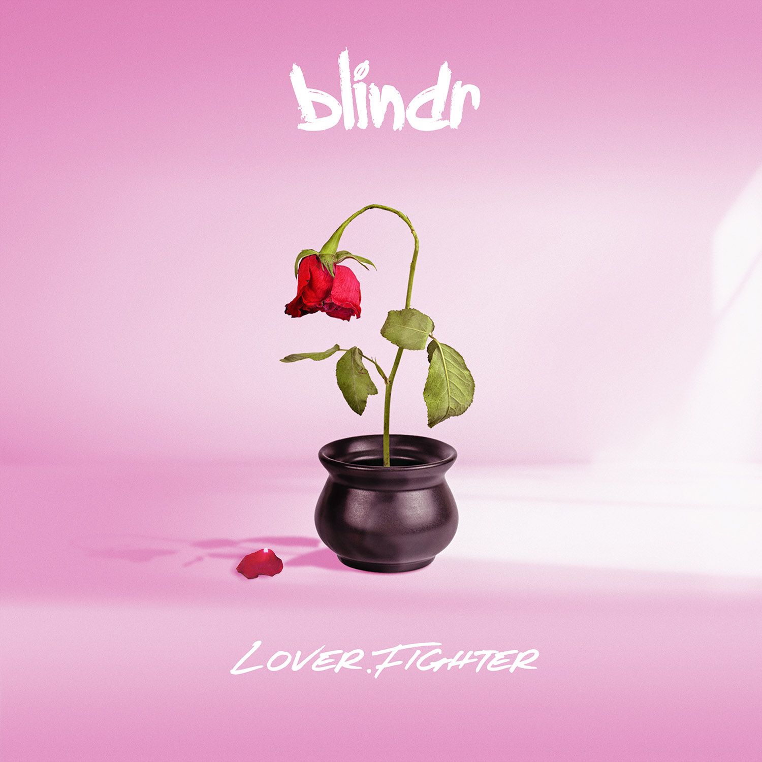Blindrcover
