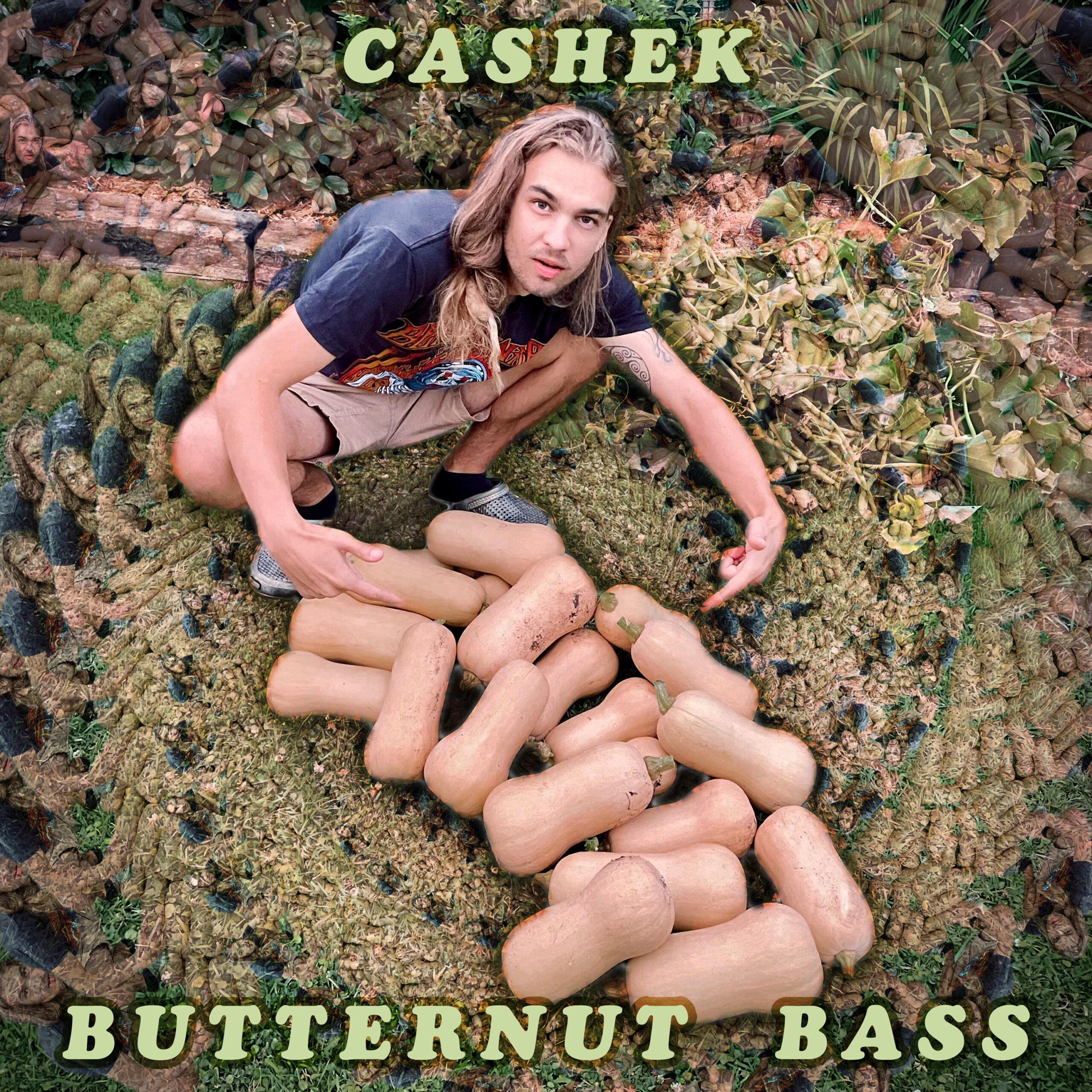Cashekcover