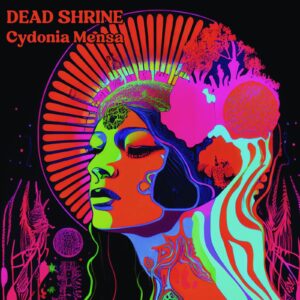 Deadshrinecover