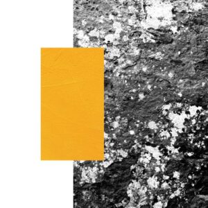 Double Single Review: Brainstare / Mantorquim 1
