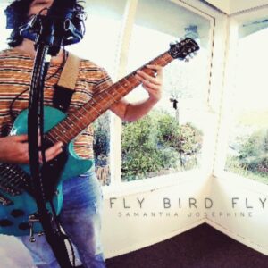 Ep Review: Fly Bird Fly 1