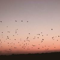 Ep Review: Lovestay 1