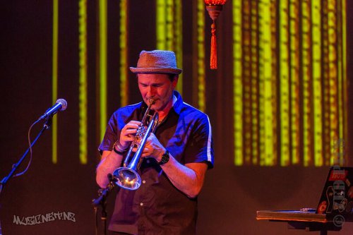 Gig Review: Greg Johnson @ The Pumphouse Theatre, Auckland 3