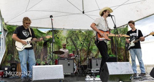 Gig Review: Music In Parks Helensville @ Helensville River Reserve, Auckland 15/01/2023 6