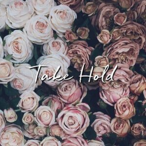 Gig Review: Take Hold @ Whammy, Auckland 12/12/2019 1