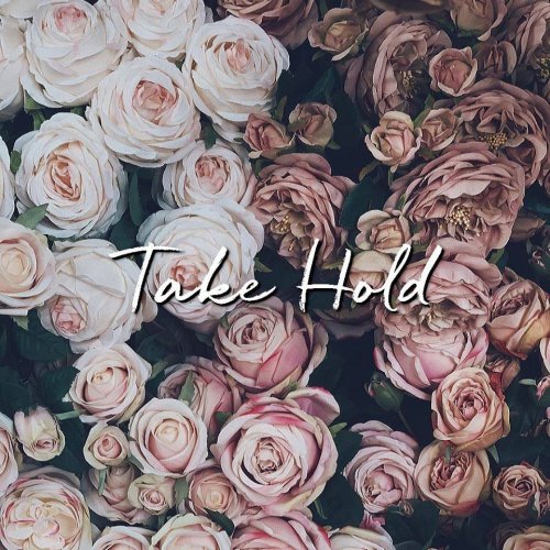 Gig Review: Take Hold @ Whammy, Auckland 12/12/2019 1