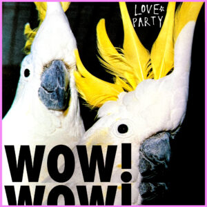 Lovepartycover