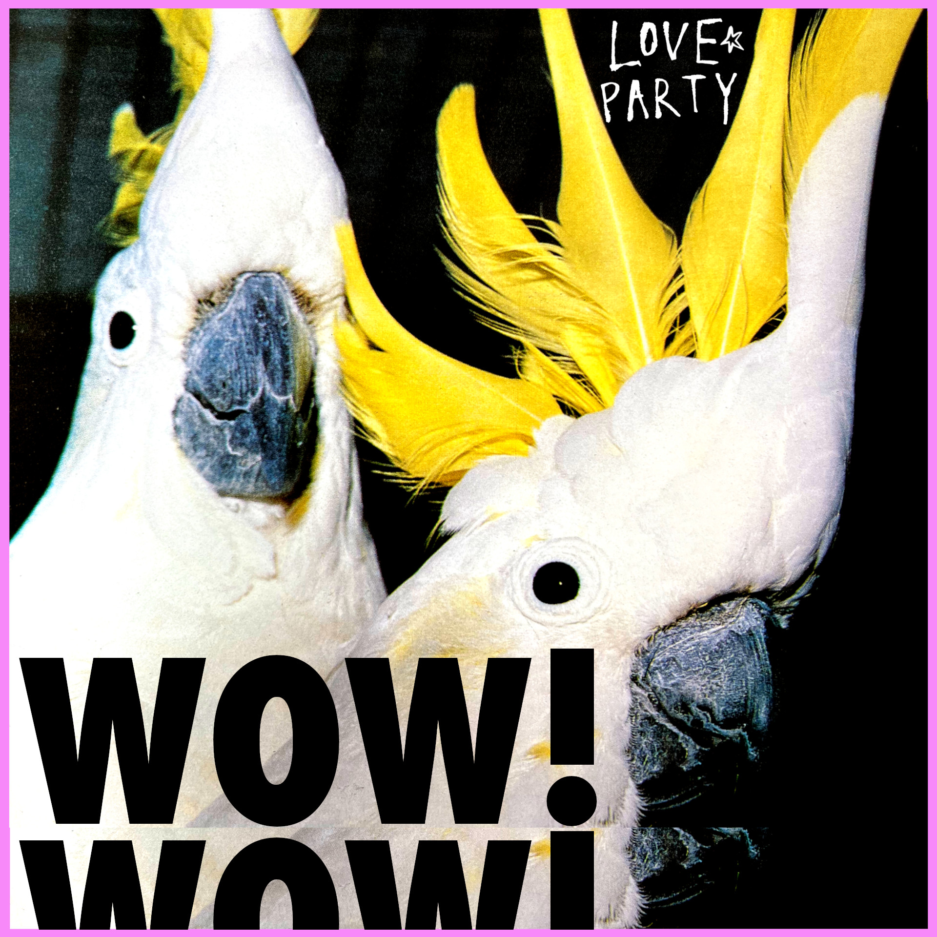 Lovepartycover